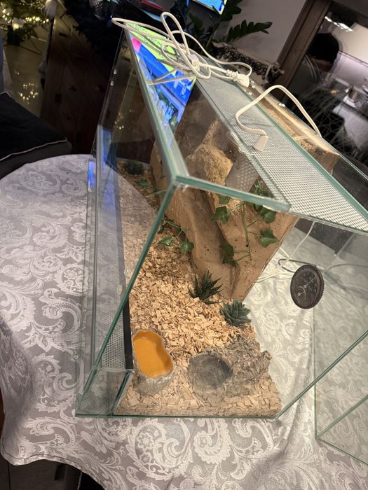 Terrarium z wyposażeniem