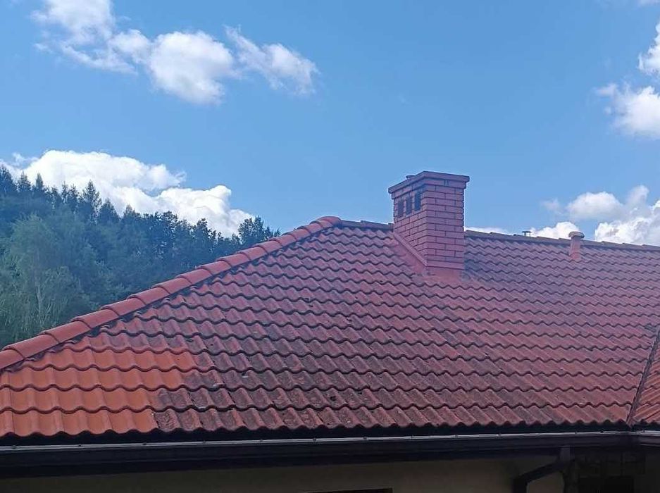 Malowanie dachów, Mycie dachu
