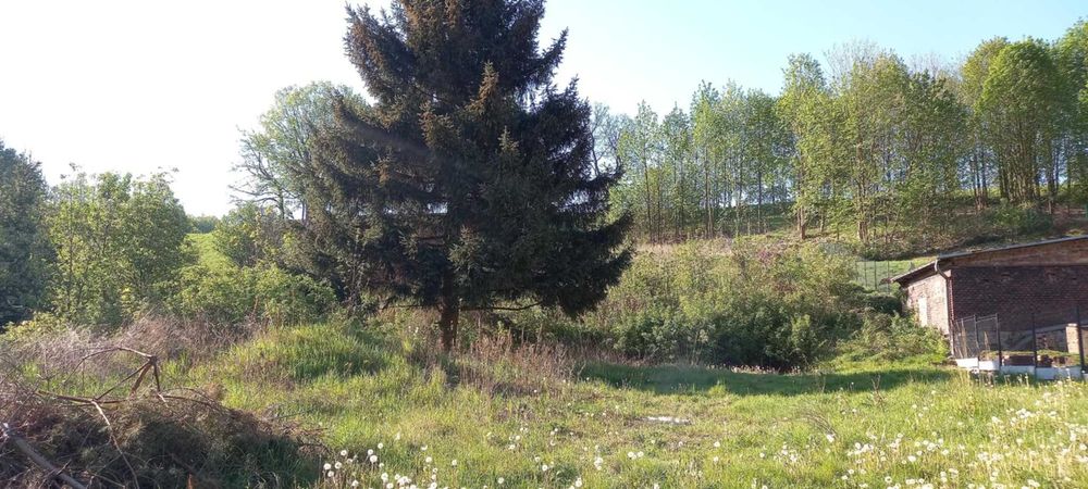 Działka Rolno-Budowlana z WZ w Malowniczej Grzmiącej! - Widok 5