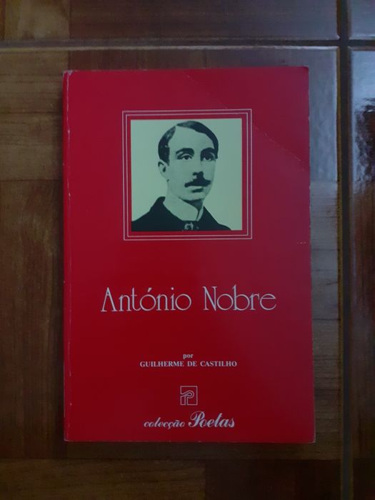 António Nobre, de Guilherme de Castilho