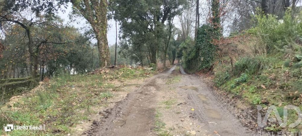 Terreno em Fornelo e Vairão