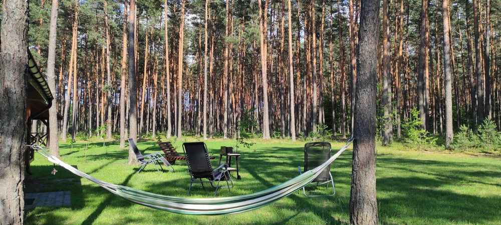 Domki Nad Tanwią, całoroczne z kominkami w sosnowym lesie na Roztoczu.