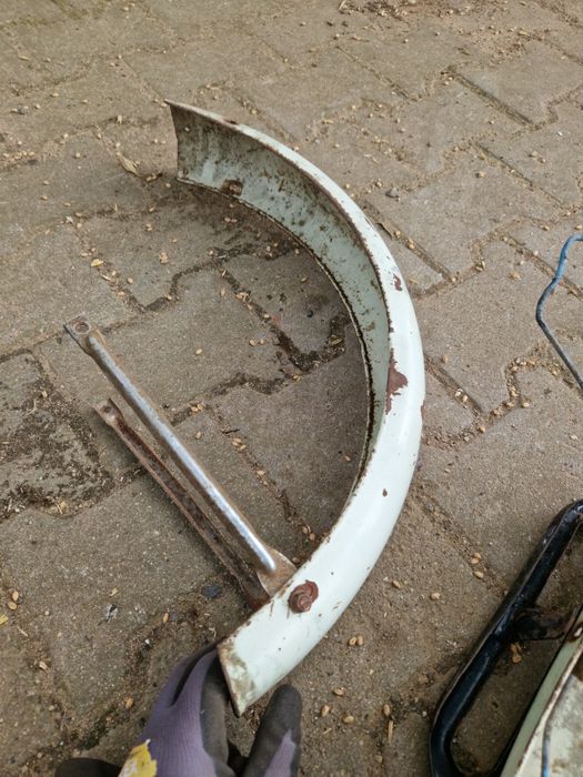 Romet komar błotniki