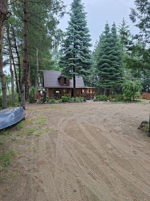 Domek pod szyszką