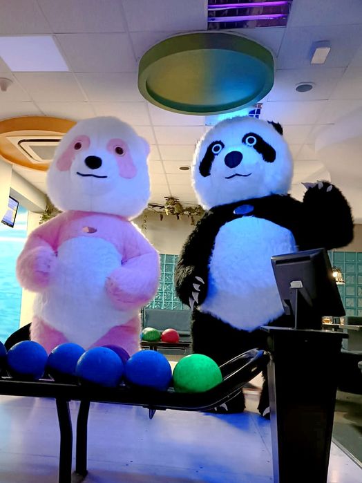 Atrakcja na imprezę Maskotka Ogromny Miś Panda Animator