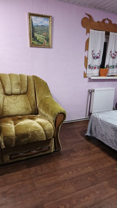 Подобова оренда будинку для відпочинку. Світловодськ.