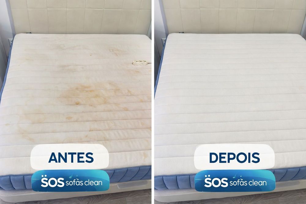 Limpeza e Higienização de Sofás, Colchões e Tapetes
