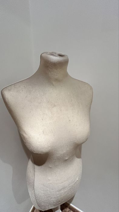 Modelo busto mulher
