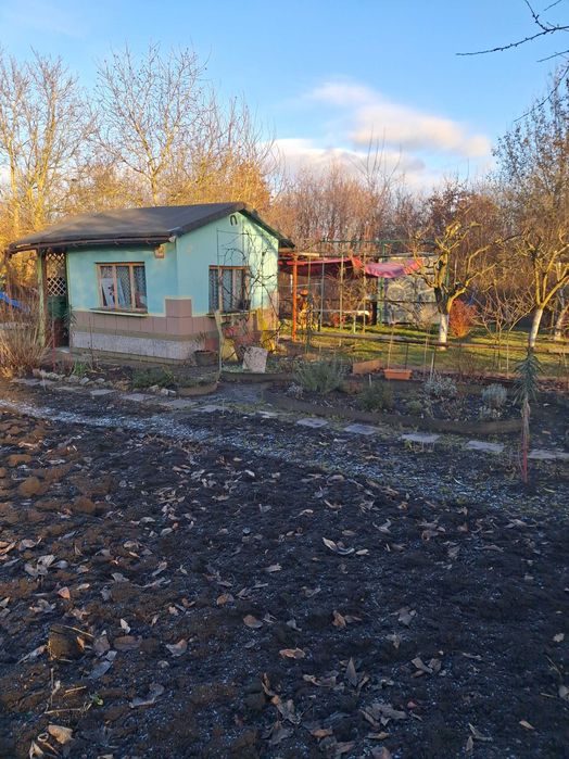 Działka ROD 300m.2 Wrocław Krzyki  Koszycka Czerwone Maki