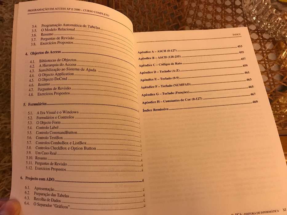 Programação em Access XP e 2000