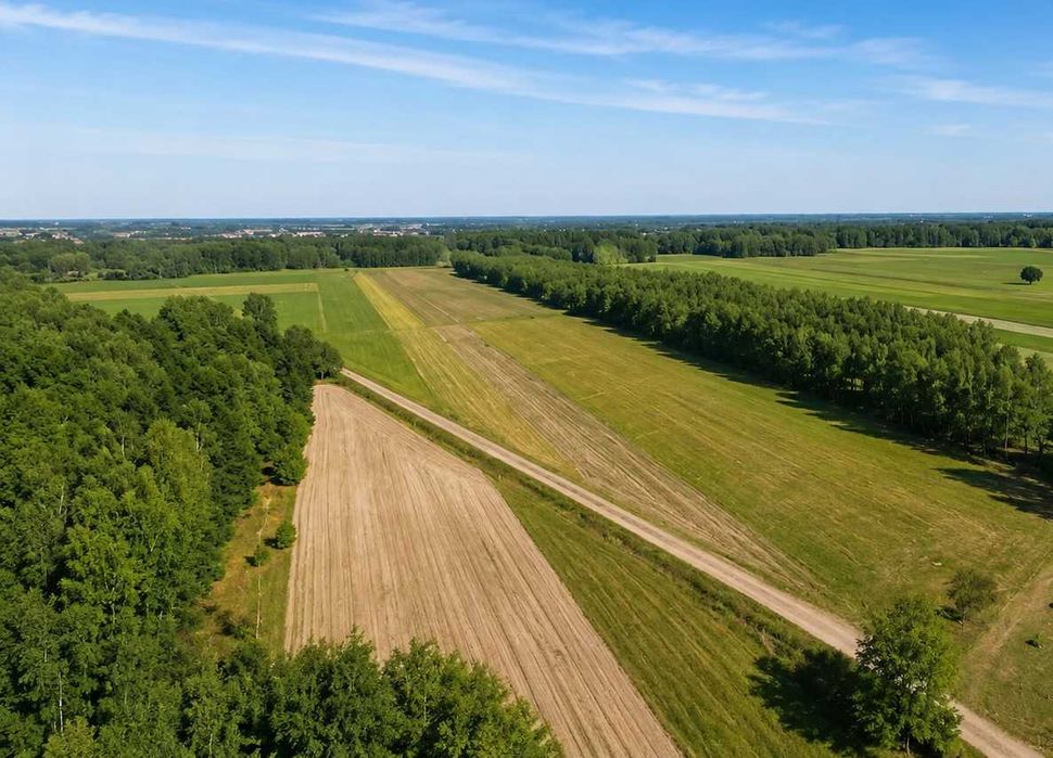 działki budowlane działka budowlana niedaleko Piotrków Trybunalski - Cekanów Rozprza warunki zabudowy - Widok 2