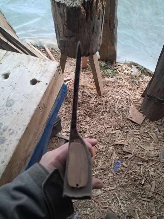 Toporek ciesielski prawy