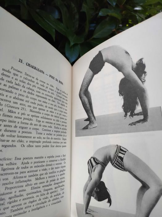 Ioga para a sua espinha (Pandit Shiv Sharma)