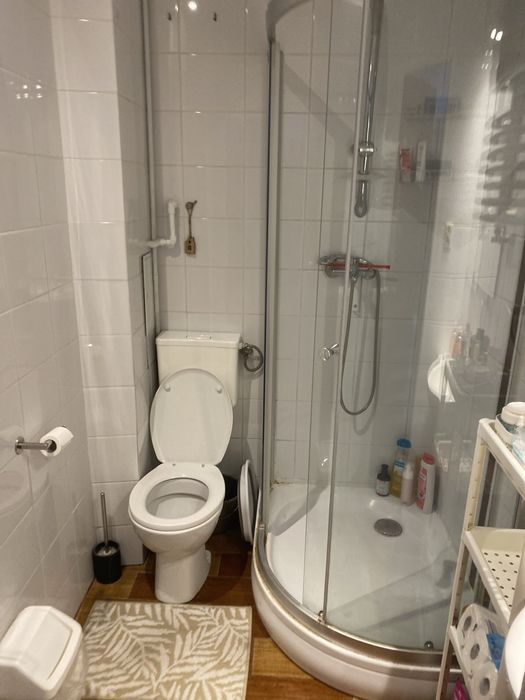 Pokój dla Pani wynajmę Wilda