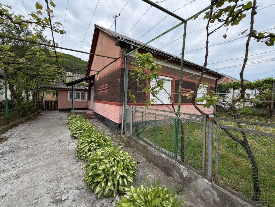 Продається будинок у селі Велика Копаня
