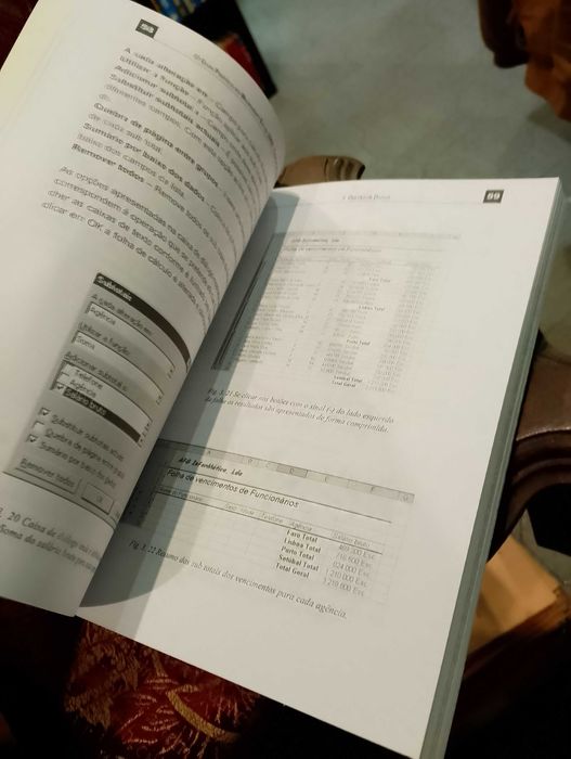 Guia Prático do Microsoft Excel 2002