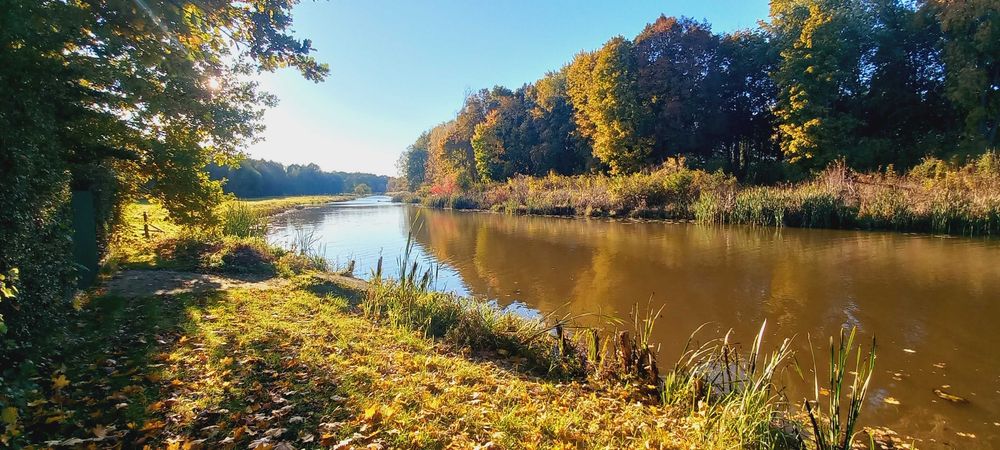 działka budowlana położona pod Radzyminem w miejscowości Arciechów 706 m² - Widok 2