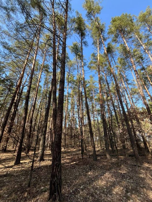 Земельні ділянки від 15 соток до 8 Га Віта Поштова