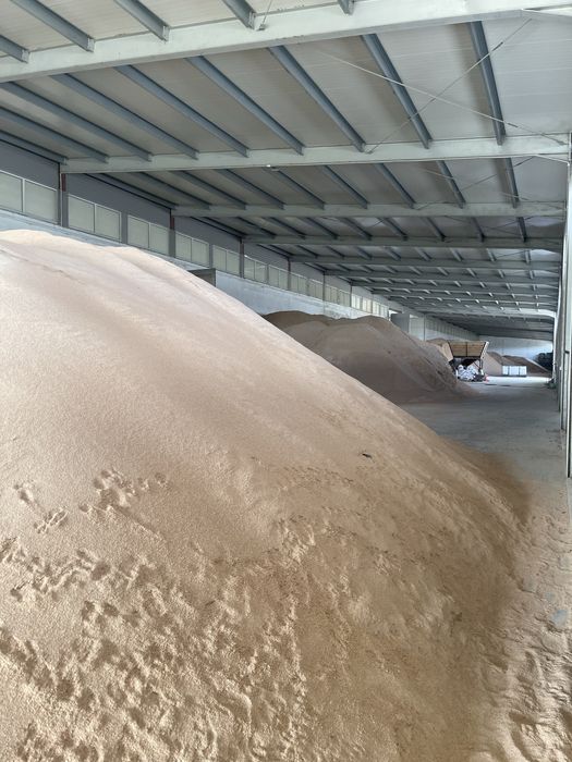 Otręby Żytnie hurtownia