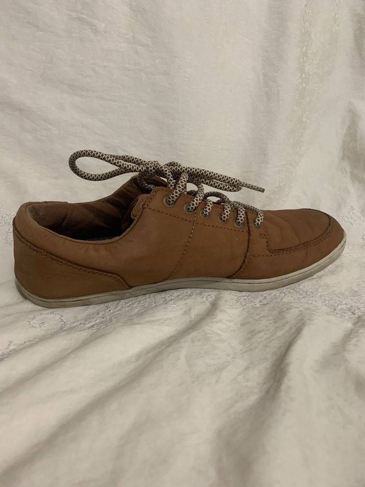 Boxfresh 320 Olx