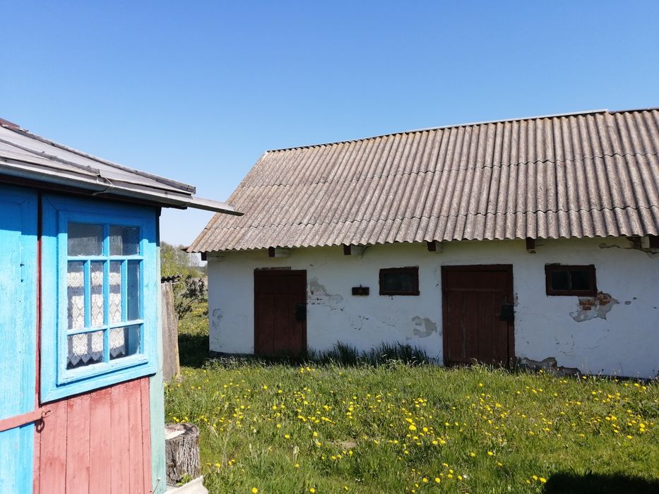 будинок в селі біля лісу