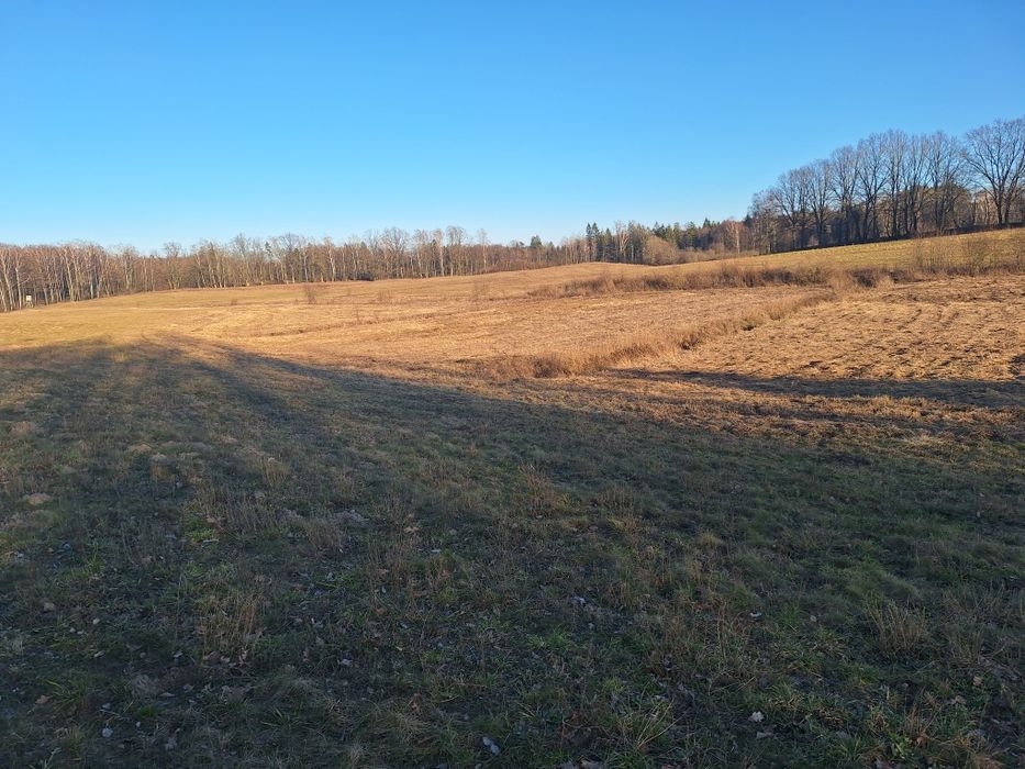 Sprzedam ziemię rolną na Mazurach . - Widok 2