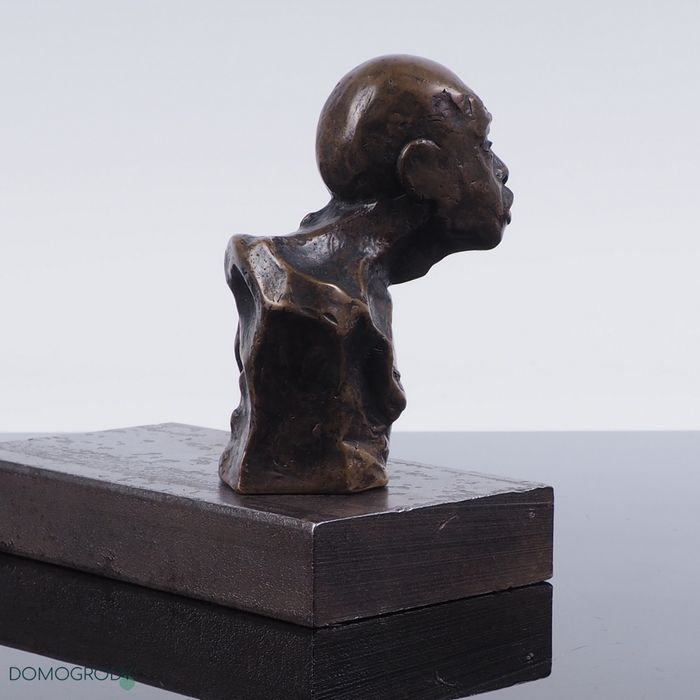 Rzeźba popiersie mężczyzny, brąz patynowany