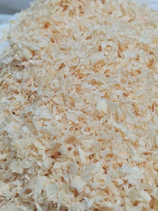 Ściółka dla koni, psów, trociny odpylone 15 szt x 20 kg cena z dostawą
