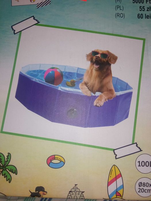 Бассейн для собак.