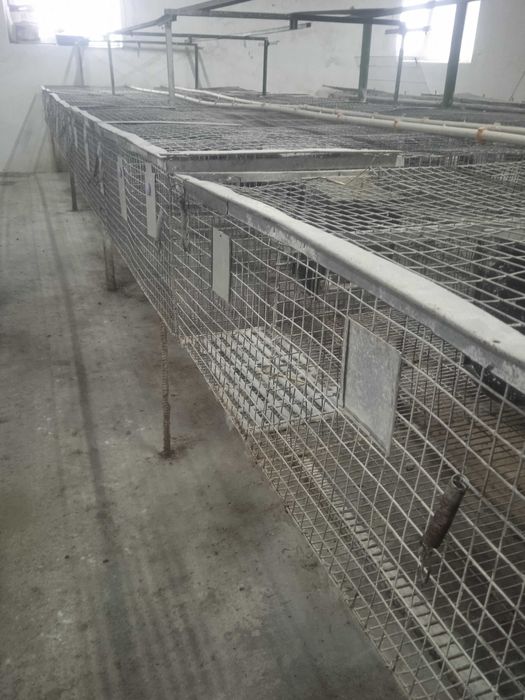 Клітки для кроликів