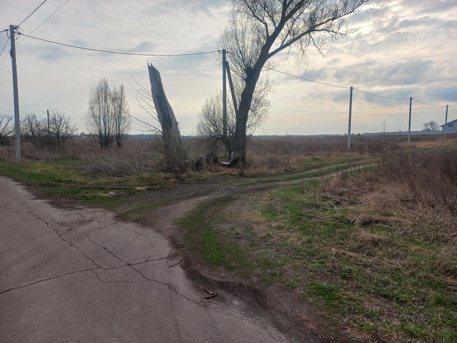 Продам земельну ділянку в Затишному
