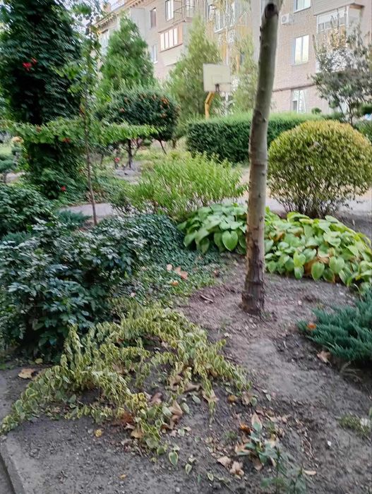 продам двокімнатну квартиру пр. Соборний (район вул. Кріпосна)