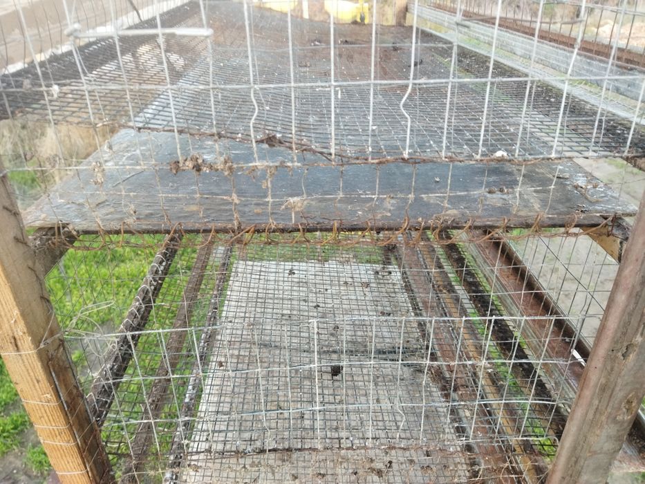 Клетка для перепелов