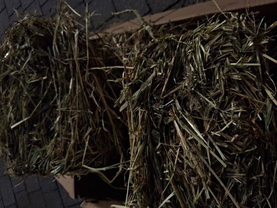 Bardzo grube I długie sianko z tymotką 6 kg