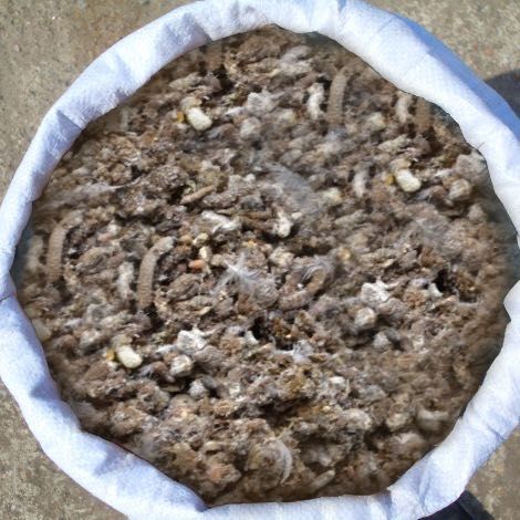 Продам куриный помет