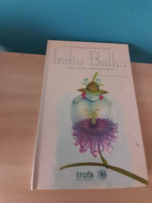 Lote Livros Infantis: Aventuras, Histórias de Amizade e Diversão (Adventure Time, O Bando Do Bosque, O Bando do Mar e outros)