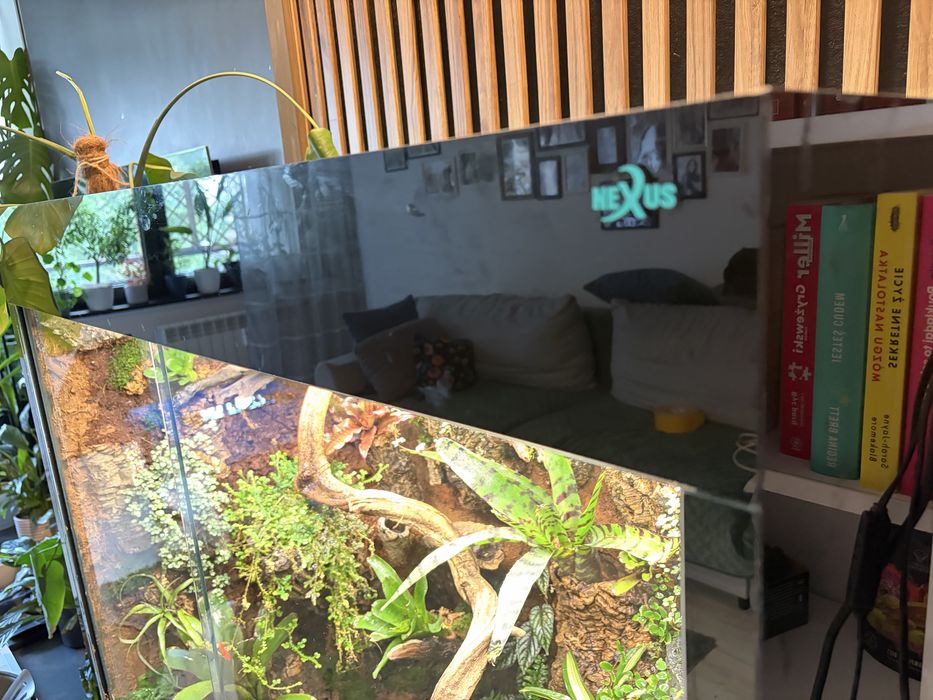 Terrarium/ paludarium/ wiwarium
