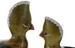 Dois pássaros em madeira entalhada da África do Sul