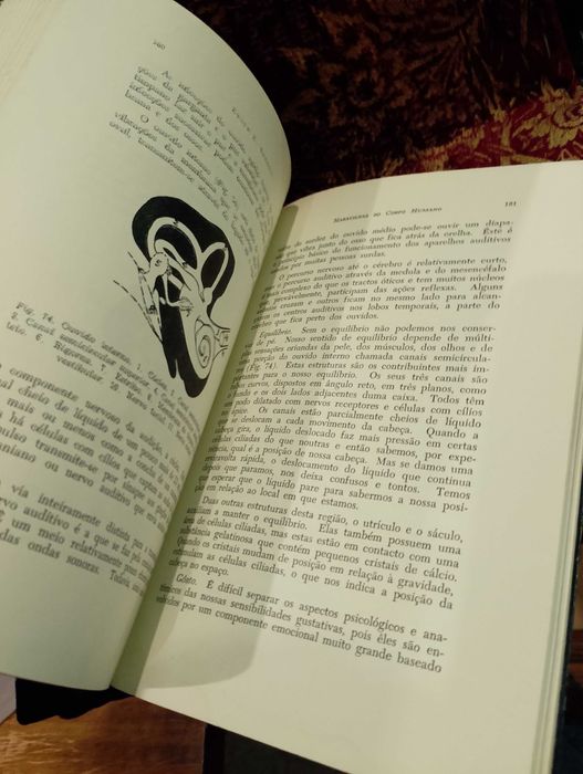 Maravilhas do Corpo Humano 1959 Edith E. Sproul