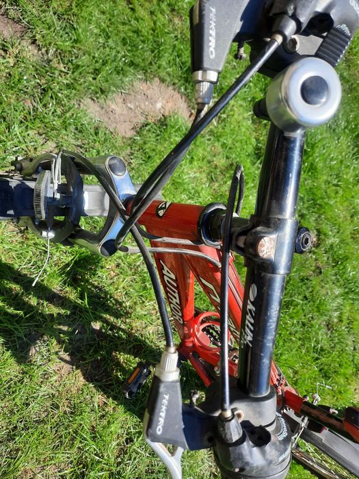 Rower author matrix 24"