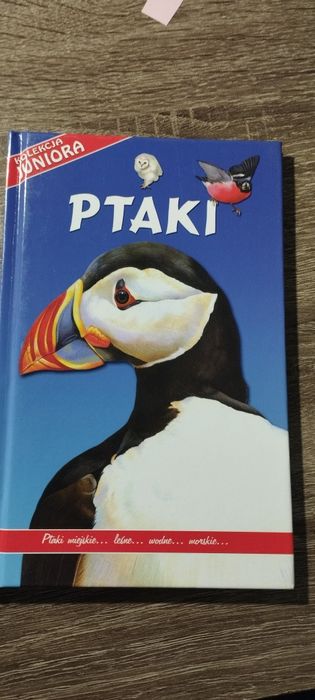 Ptaki książka dla dzieci