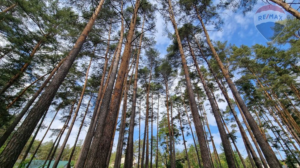 2 га | Лютіж | Асфальт | 100 кВт| Вишгородський район | під забудову