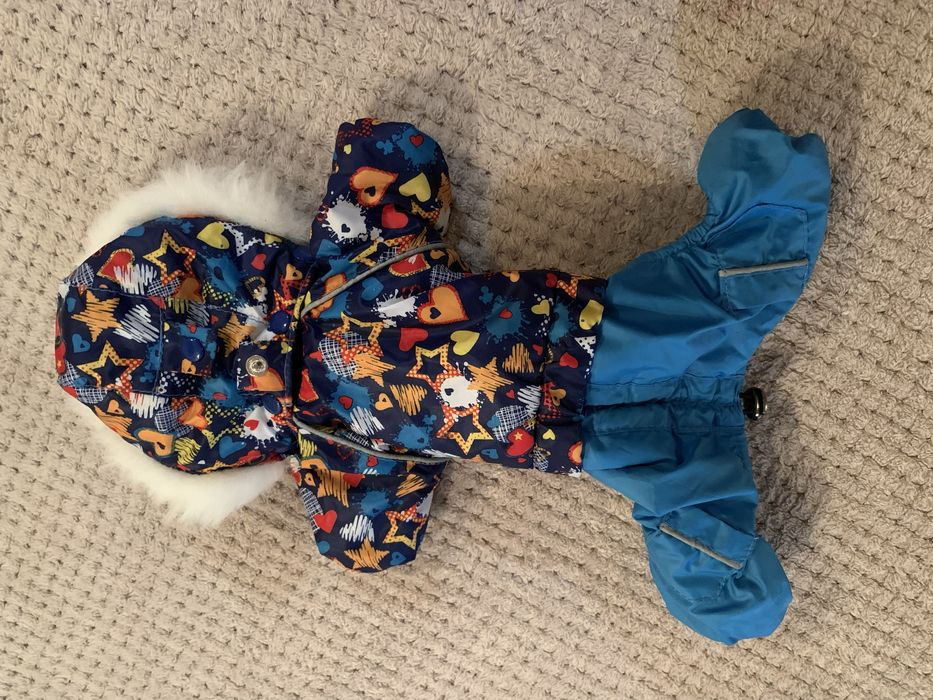 Дощовик, зимовий комбінезон для собак маленької породи