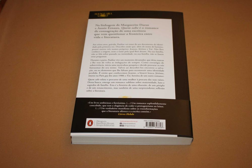 ' Quem Sabe // Pauline Delabroy-Allard