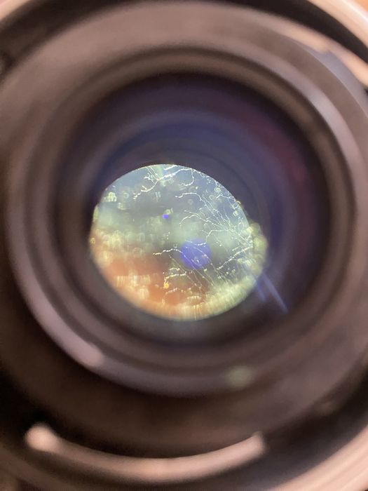 Leica Leitz Wetzlar 24mm 2.8