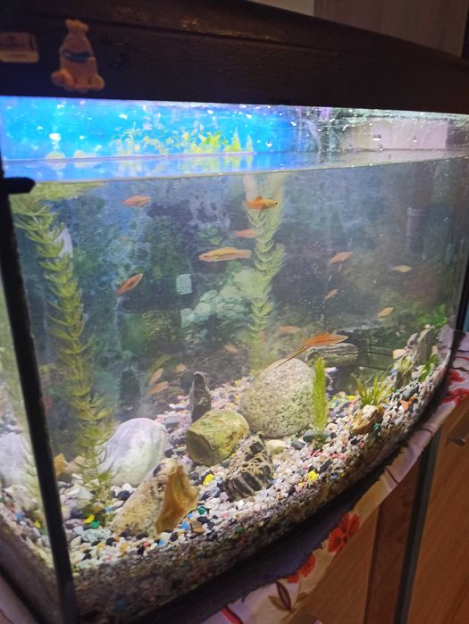 Sprzedam akwarium 112