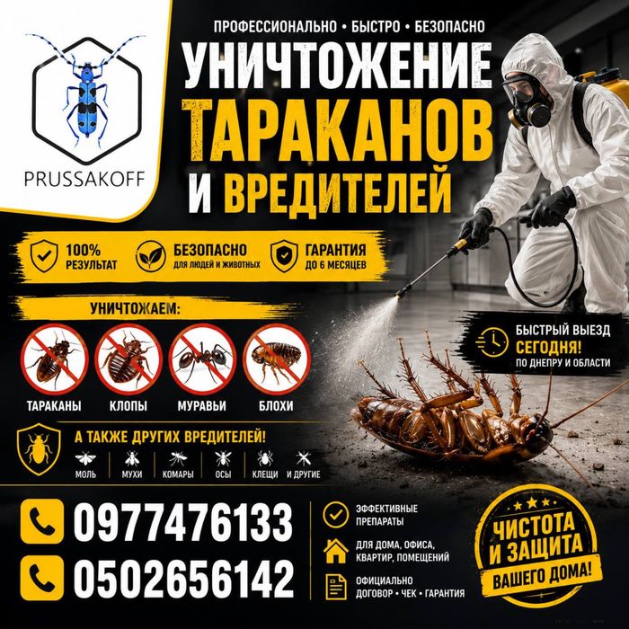 Уничтожение тараканов, клопов, блох, крыс!Дезинфекция с 100%гарантией!