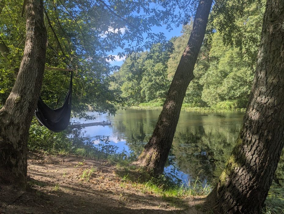 Domek nad Wkrą do wynajęcia