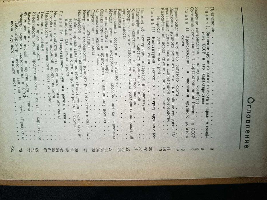 Скотоводство А.П. Солдатов 1982г286с