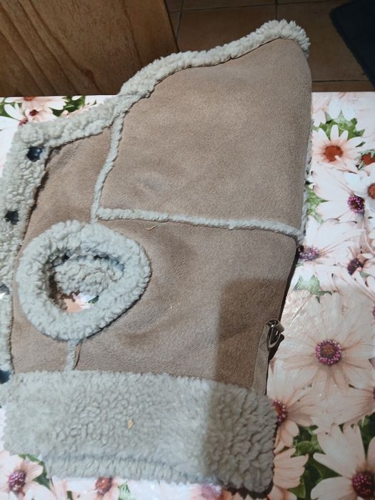 Roupa cão pequeno